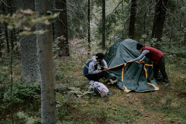 Évasion enchantée dans les cabanes dans les arbres de Haute- Savoie