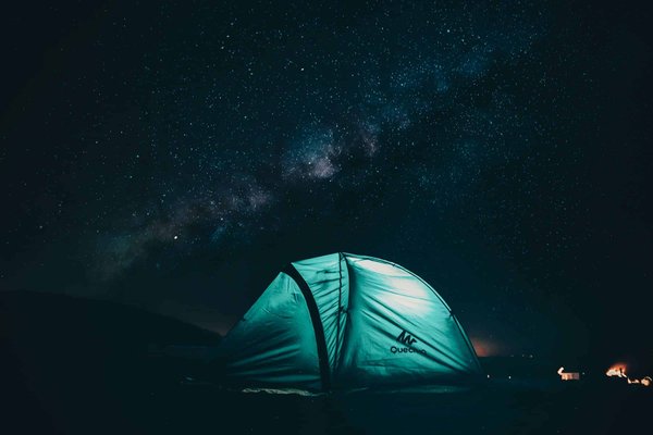 Comment organiser un camping pour observer les papillons nocturnes en forêt?