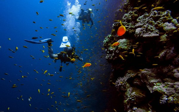 Quels sont les meilleurs spots pour faire de la plongée sous-marine dans les îles Similan, Thaïlande ?